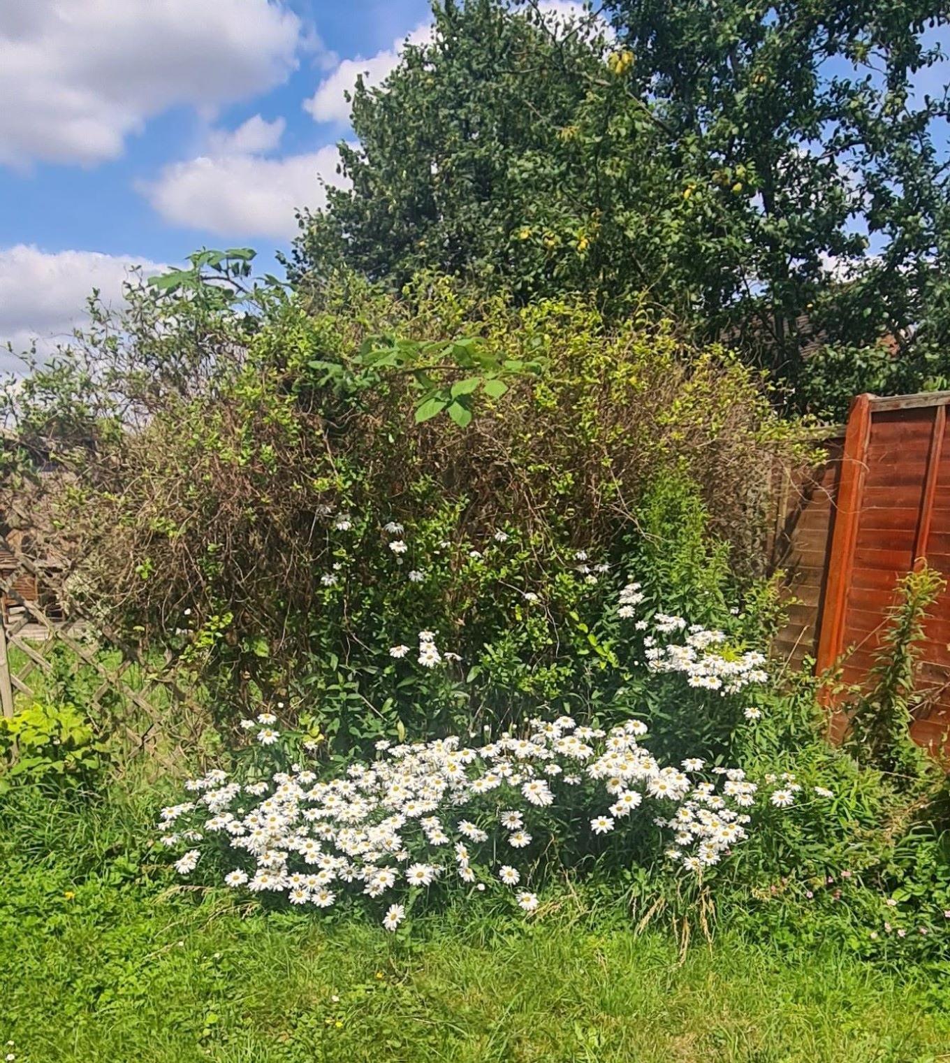 Gorgeous 2 Bedroom Kintbury Cottage Extérieur photo